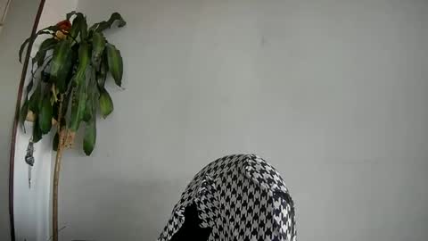 Snapshot of silviecollins chatting on January 27, 10:27 pm Silvie online show from January 27, 10:27 pm