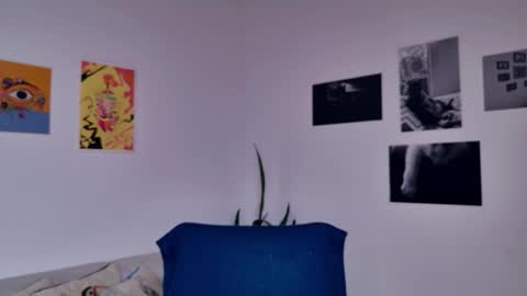 Sim. online show from November 24, 4:27 pm