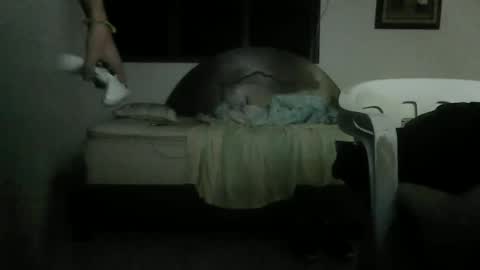 skanky_little_dolls online show from November 26, 9:39 am