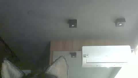 skinnykittencam online show from December 1, 2:31 am