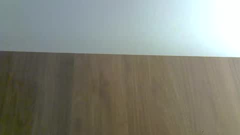 skinnykittencam online show from November 26, 1:47 am