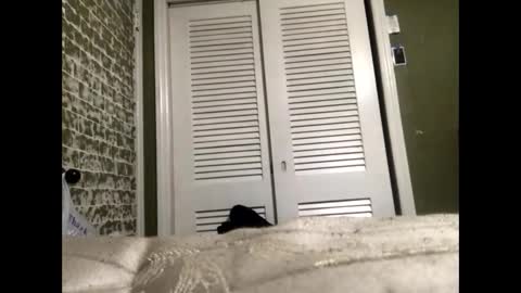 Slangindopee online show from January 22, 11:56 am