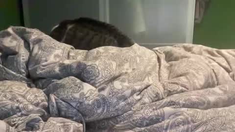 slice5 online show from December 21, 9:49 am