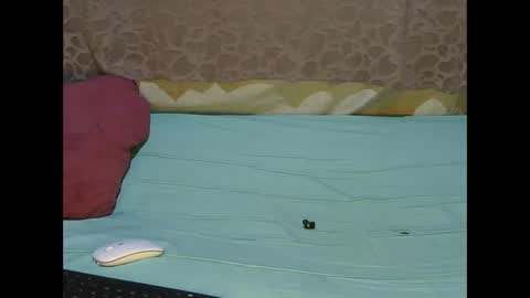 slim_girl01 online show from February 27, 10:41 am