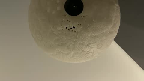 slimguy03 online show from January 28, 3:25 am