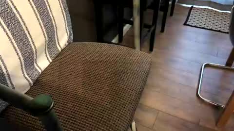 Peter Johnson online show from July 16, 6:44 pm