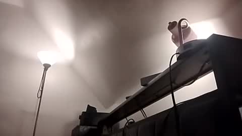 smokenstroke33 online show from November 26, 10:17 pm