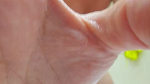 Sneakybill online show from February 16, 11:19 am