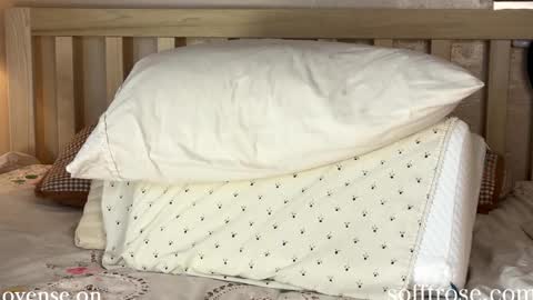 Snapshot of sofftrose chatting on January 11, 12:33 am Julia    online show from January 11, 12:33 am