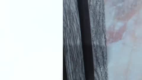 sofi_boll25 online show from June 28, 3:13 am