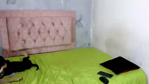 Snapshot of sofiadoll77 chatting on February 8, 9:03 am sofiadoll77 online show from February 8, 9:03 am