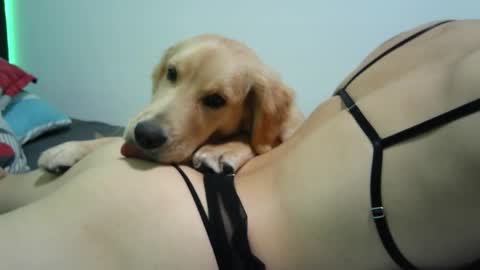 Sofi online show from February 10, 11:46 am