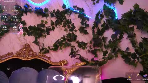 Sofie online show from November 28, 2:08 am