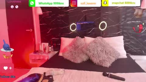 Sofia online show from November 15, 12:51 pm