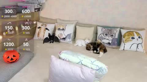 Mia online show from October 31, 7:36 pm