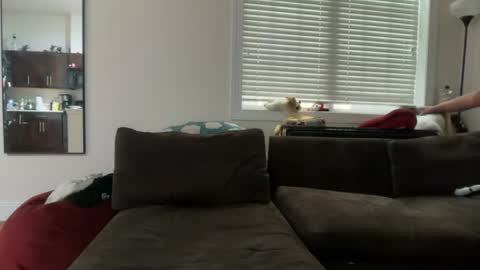 softandcreamyass online show from July 27, 11:35 pm