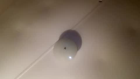 sooexxxhilarating online show from October 7, 9:05 am