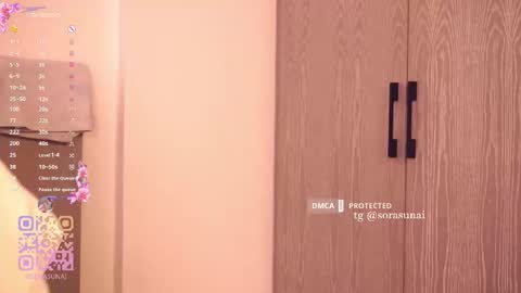 Sora online show from February 13, 2:04 am