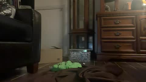 Southernblueyes online show from April 11, 8:13 pm