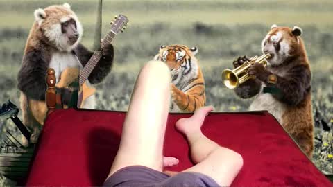 soymigo online show from February 11, 5:22 am