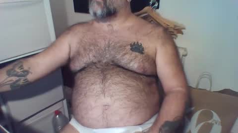 spain_bear online show from November 9, 3:21 am