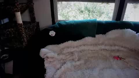 AmberSpanks online show from June 12, 11:59 pm