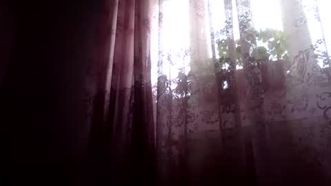 Snaiky online show from February 5, 11:23 am