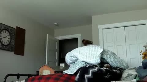 sportfish online show from February 21, 10:35 pm