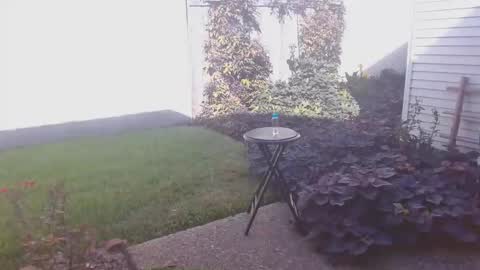 srtxshow online show from November 12, 8:22 pm