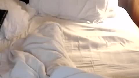 st8llion online show from January 24, 7:19 am