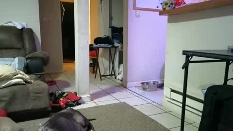 Submissive Slut LOVES adoration online show from February 2, 8:56 am