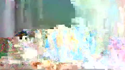 Stacysweet chocolate online show from November 30, 3:41 pm