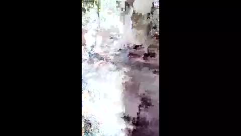 StarryWhispers online show from March 28, 11:22 am