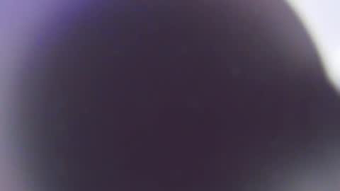 Stefano online show from December 3, 11:44 am