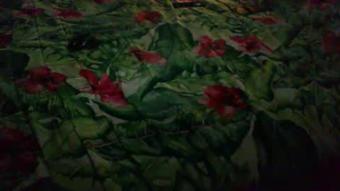 Rocco-load online show from March 29, 7:37 pm