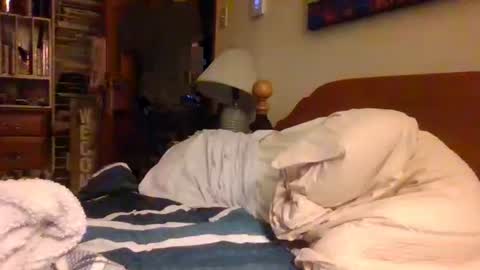 Ian23602 online show from December 19, 12:00 pm