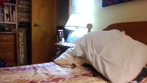 Ian23602 online show from January 16, 12:41 am