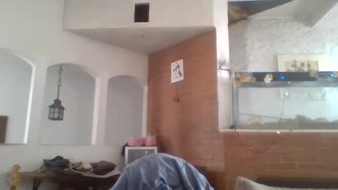 Snapshot of stevenson988 chatting on December 26, 6:12 pm stevenson988 online show from December 26, 6:12 pm