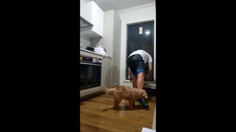 SteveTheTigerr online show from March 11, 12:41 pm