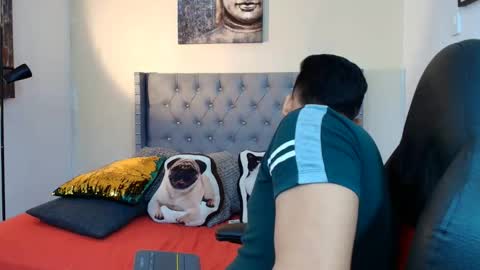 stewart online show from December 15, 2:40 am