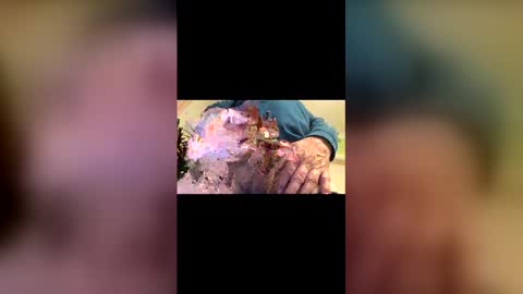 strandedstarfish online show from April 4, 4:08 am