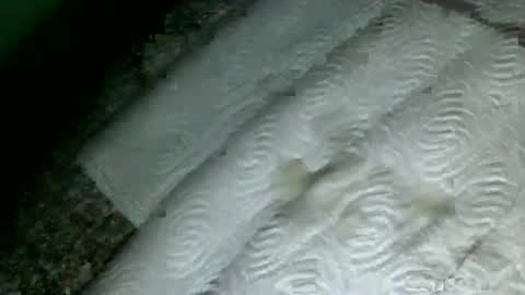 Martin sweetboy online show from February 18, 9:53 pm