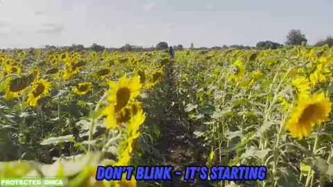 Tina. Im topless model  online show from February 9, 1:15 pm