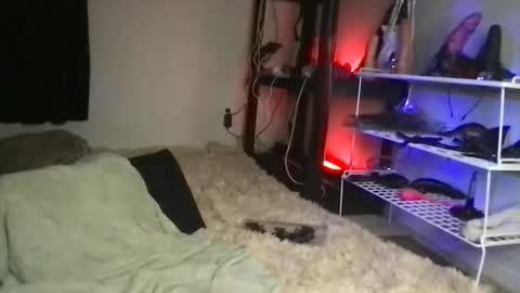 Sunny Clementine online show from February 2, 6:36 am