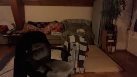 supersquirrel81 online show from January 8, 6:58 pm