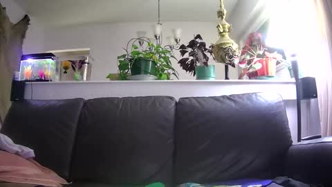 Otto online show from January 16, 5:38 am