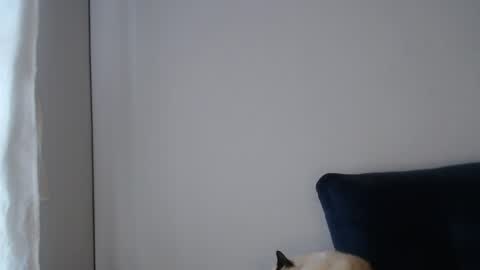 Sabrina y Eliot online show from April 29, 7:08 pm