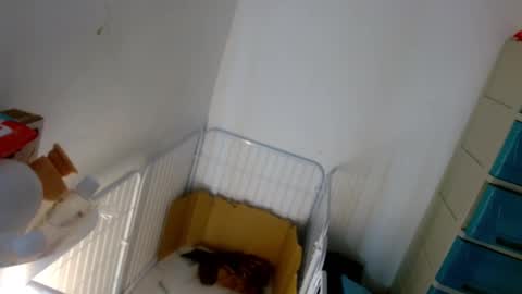 Lilly online show from January 7, 5:20 pm