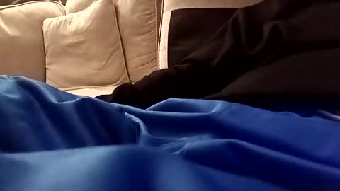 swimfit49 online show from November 2, 7:14 pm