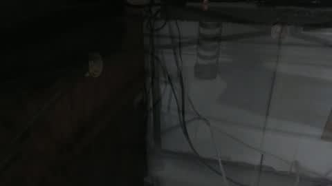 sxulx2c online show from December 14, 6:24 am